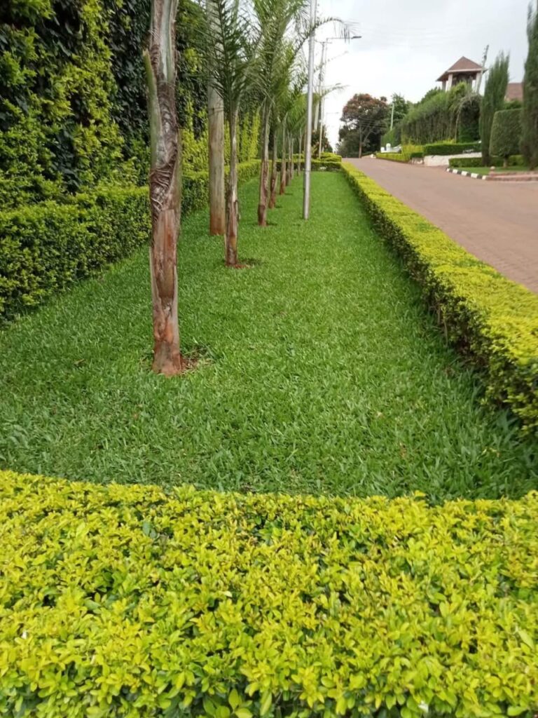 WhatsApp Image 2026 01 10 at 21.22.15