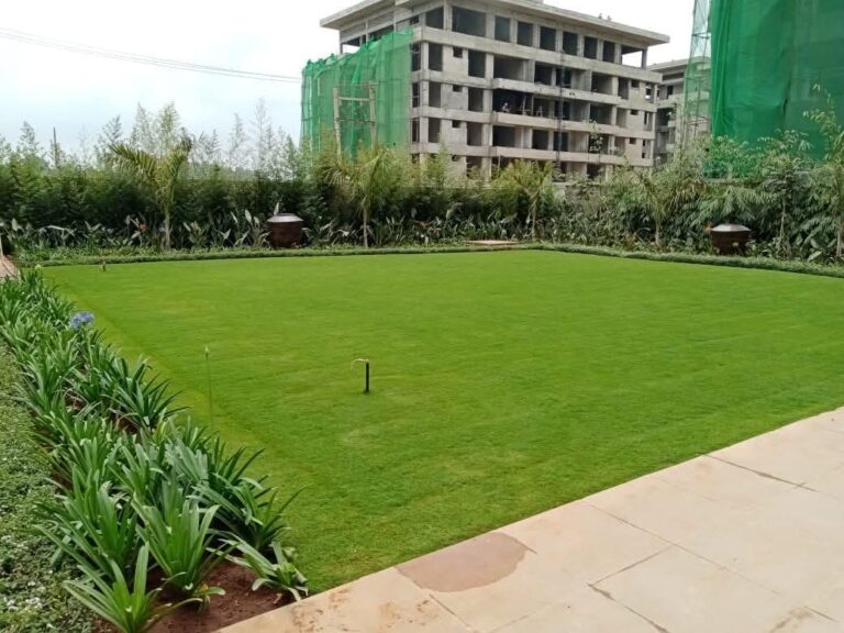 WhatsApp Image 2026 01 10 at 21.23.46