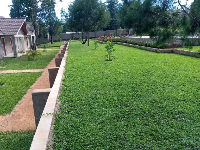 WhatsApp Image 2026 01 10 at 21.24.35