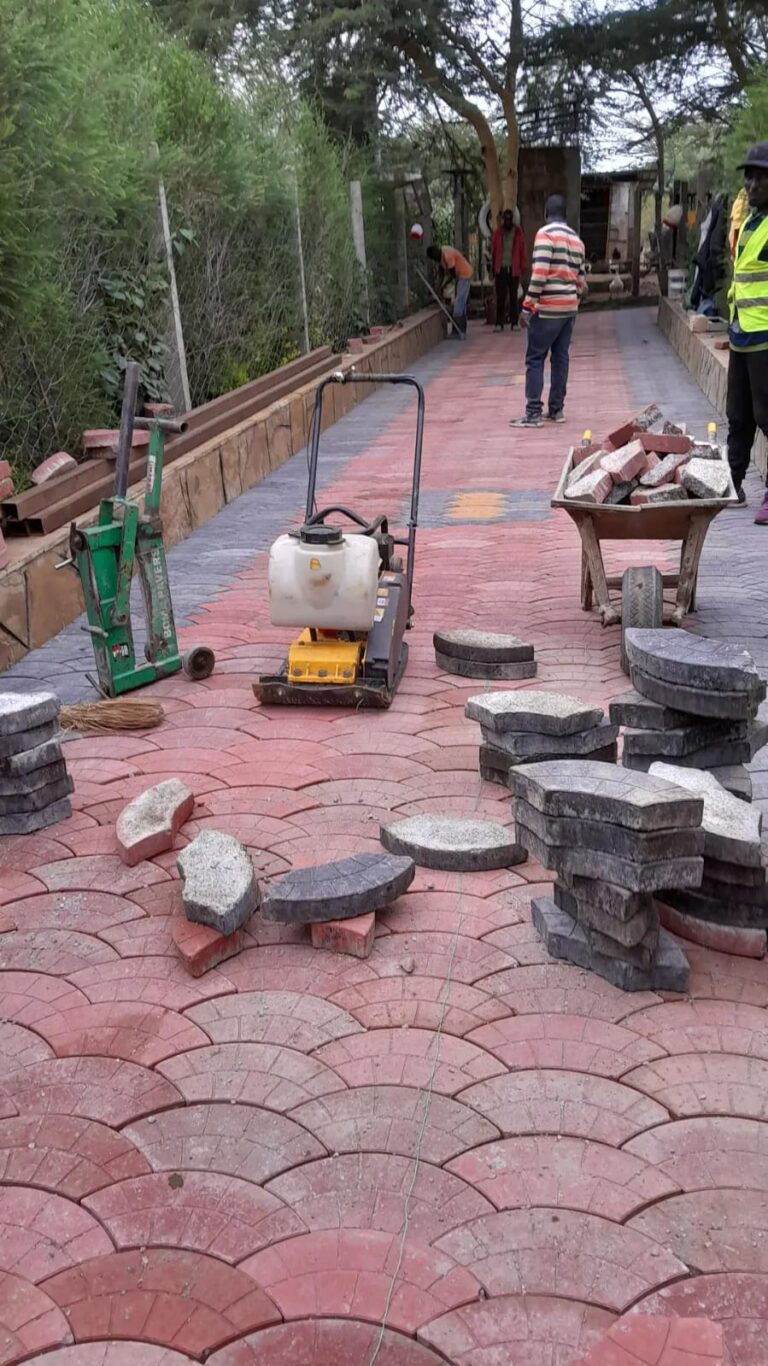 WhatsApp Image 2026 02 08 at 14.32.25